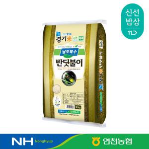 [연천농협] 23년산 남토북수 반딧불이쌀 특등급 10kg 단일품종