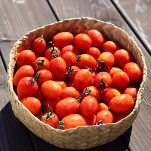 [농부들의수확][무료배송]국산 방울토마토 2kg(대과)