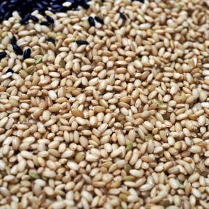 2023 햅쌀 땅끝해남 현미쌀 4kg(2kg 2개) 곡물