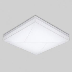 [RGNNPNT3]국산 방등 정사각 루나솔 LED 50W 주광 6 5K KS