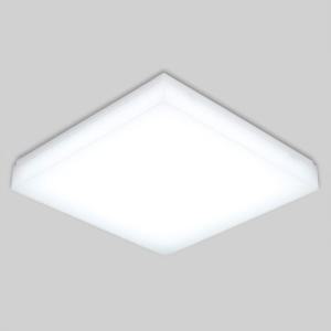[RGNNPNSS]국산 방등 정사각 샤이닝 LED 60W 주광 6 5K KC