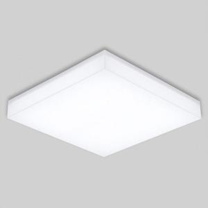 [RGNNPNSU]국산 방등 정사각 밀크 LED 50W 주광 6 5K KC