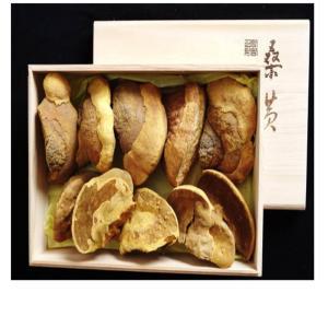 [하회마을] 뽕나무 상황버섯 250g 최상급 린테우스 상황버섯 특품