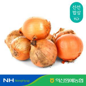 [익산원예농협] 탑마루 24년 햇 양파 3kg 5kg 특 중대