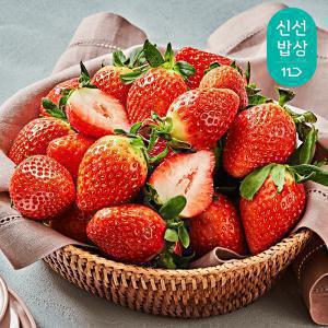 [품질보장] 충남 논산 설향 딸기 750g내외 20-30과