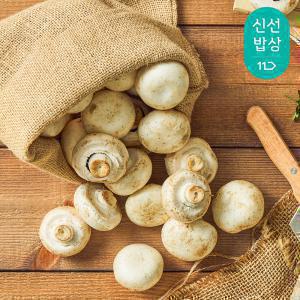 [품질보장] 충남 부여 양송이 버섯 2kg / 가정용 / 정품
