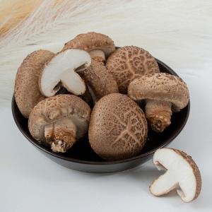 [문경백화버섯] 문경 표고버섯 1kg  상품 중품 하품