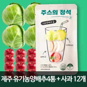 주스의정석 맛있는 양배추즙 유기농 양배추 사과 즙 100%NFC착즙 실속포장_2박스(100ml x 60개입)