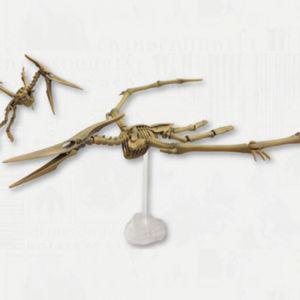 포즈스켈레톤 공룡시리즈 105 프테라노돈 인형 동물피규어 규어 장난감 모형 학습교구
