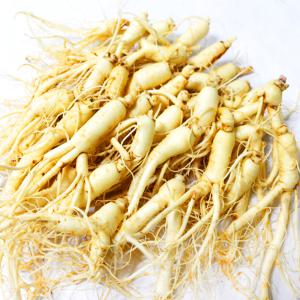 가정용 세척인삼 난발삼 [小] 27-35뿌리 (700g)