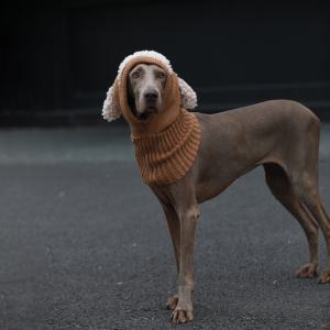 강아지 바라클라바 겨울 털모자 귀마개 귀여운 니트모자
