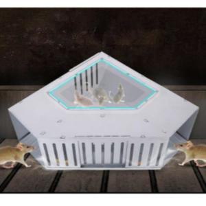 마우스 트랩 쥐 포획틀 양문형 쥐덫 터널식 가정용