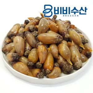 국산 생물 미더덕  참미더덕 500g / 미더덕회, 해물찜, 찌개용 / 경남 통영[경희직배]