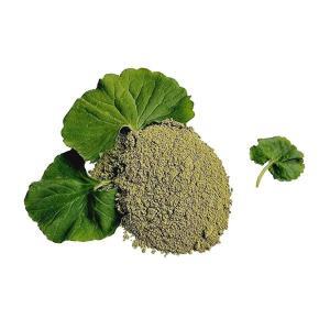Gotu Kola 파우더 Made From 100% Centella Asiatica - Pure Natural Asiatic Pennywort/Indian Pennywort