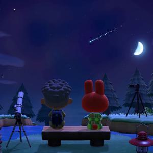 (코코제품) 닌텐도 스위치 모여봐요 동물의 숲Nintendo Switch Animal Crossing New Horizons