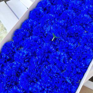 플라워 비누향기 조화꽃 카네이션(파랑 딥오션) 1각