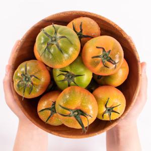 부산 제철  정품 고당도 대저 짭짤이 토마토 2.5kg 5kg 골라담기