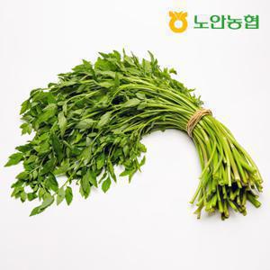  노안농협  Gap인증 세척 미나리 1kg(200gx5개) 8 450원  품질 보장&소포장 배송 