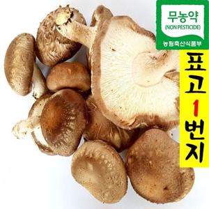 돌아온 표고1번지  장흥 무농약 못난이 표고버섯 2kg