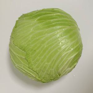 (바르다야채)국내산 양배추 1통 (2kg  3kg) / 빠른배송