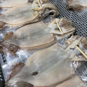 포항 구룡포 반건조 오징어 중형 10마리 750g내외