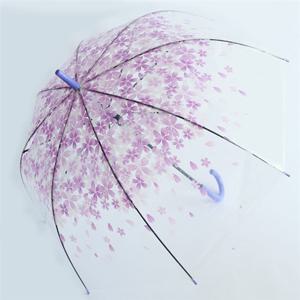 렌코리아 벚꽃축제 초경량 자동 투명우산 장우산