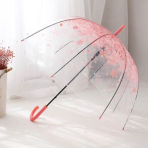 벚꽃우산 1 1