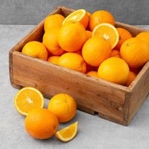 엠팍 캘리포니아 네이블 오렌지, 18kg(중소과), 1개