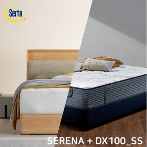 [썰타 코리아] SERENA(오크내추럴) DX100(SS) / 침대 SET
