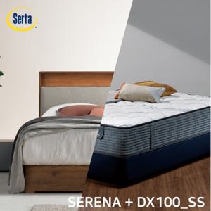 [썰타 코리아] SERENA(월넛) DX100(SS) / 침대 SET