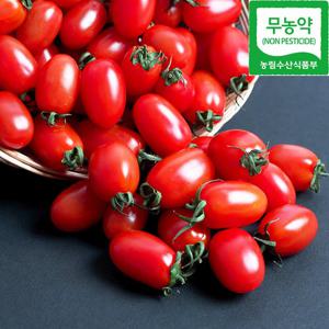[당일수확발송] 무농약 대추방울토마토 2kg (1-3번과) 농협 로컬푸드