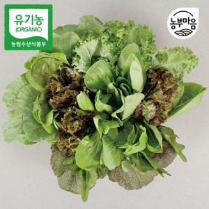 [유기농인증] 당일수확 친환경 유기농 모듬 쌈채소 1kg