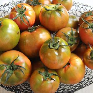[품질보장] 온드레 짭짤한 대저 찰토마토 2.5kg (L대과)