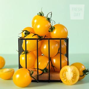 [프레시데이] 아삭달콤 옐로리타 황금 방울 토마토 특품 2kg