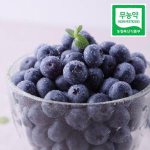 갤러리아_[맛딜]국내산 무농약 블루베리 생과(특대) 1kg/200gx5