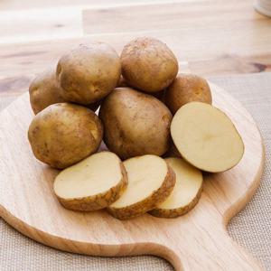 [자연맛남] 맛있는 국내산 감자 10kg (대)
