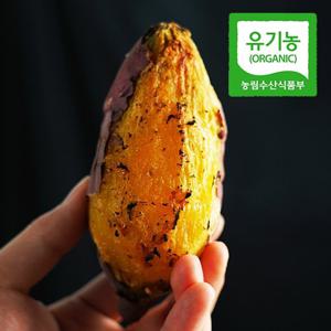 [유기농] 산지직송 해남 황토 꿀고구마 5kg(특상)