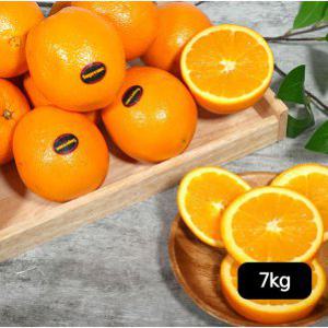 슈프림 캘리포니아 블랙라벨 오렌지 총 7kg (3.5kg+3.5kg)