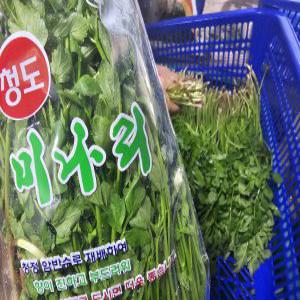 경북 청도 특산품 특유의향과 아삭한식감 청도 한재로 미나리 500g 1kg 2kg