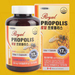 캐나다 로얄 프로폴리스 건강기능식품 180캡슐(6개월분) 플라보노이드 항산화