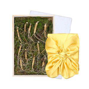 국내산 자연 재배 산양 산삼 12뿌리(5년근) 선물 상자 오동나무 케이스 담금주 특별관리임산물