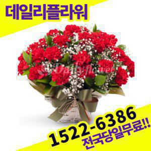 카네이션+안개 꽃바구니 사랑 고백 이벤트 졸업식