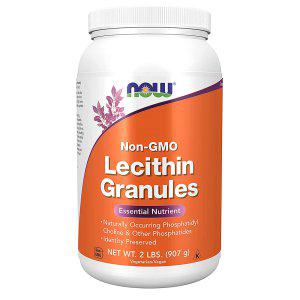 해외 NOW Supplements Lecithin 레시틴 Choline 콜린
