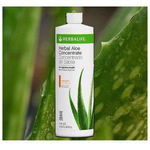 해외 Herbalife Herbal Aloe 알로에 473ml