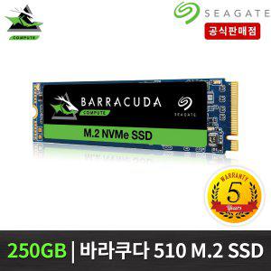 씨게이트 BarraCuda 510 M.2 NVMe SSD 250G