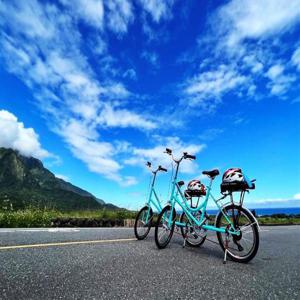 화롄 리위탄 반나절 자전거 타기 | 나비 생태 및 초목 염색 수제