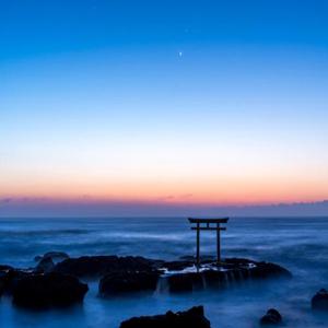 [특집] 일본 이바라키 꽃구경 일일 투어 | 히타치역 & 히타치 해변공원 & 오아라이 이소마에 신사와 도리이 | 중국어, 일본어 서비스 | 도쿄 출발