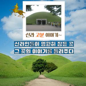 [키즈][경주] 신라왕들의 안식처 신라고분 이야기(가족&지인 3인이상 단독진행)