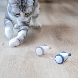 냥템점 고양이 자동 쥐 장난감 위키드 마우스