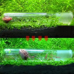 수족관 클리너 도구 달팽이 트랩 투명 거머리 해충 캐치 펜 레드 비 새우 웜 미끼 먹이 상자